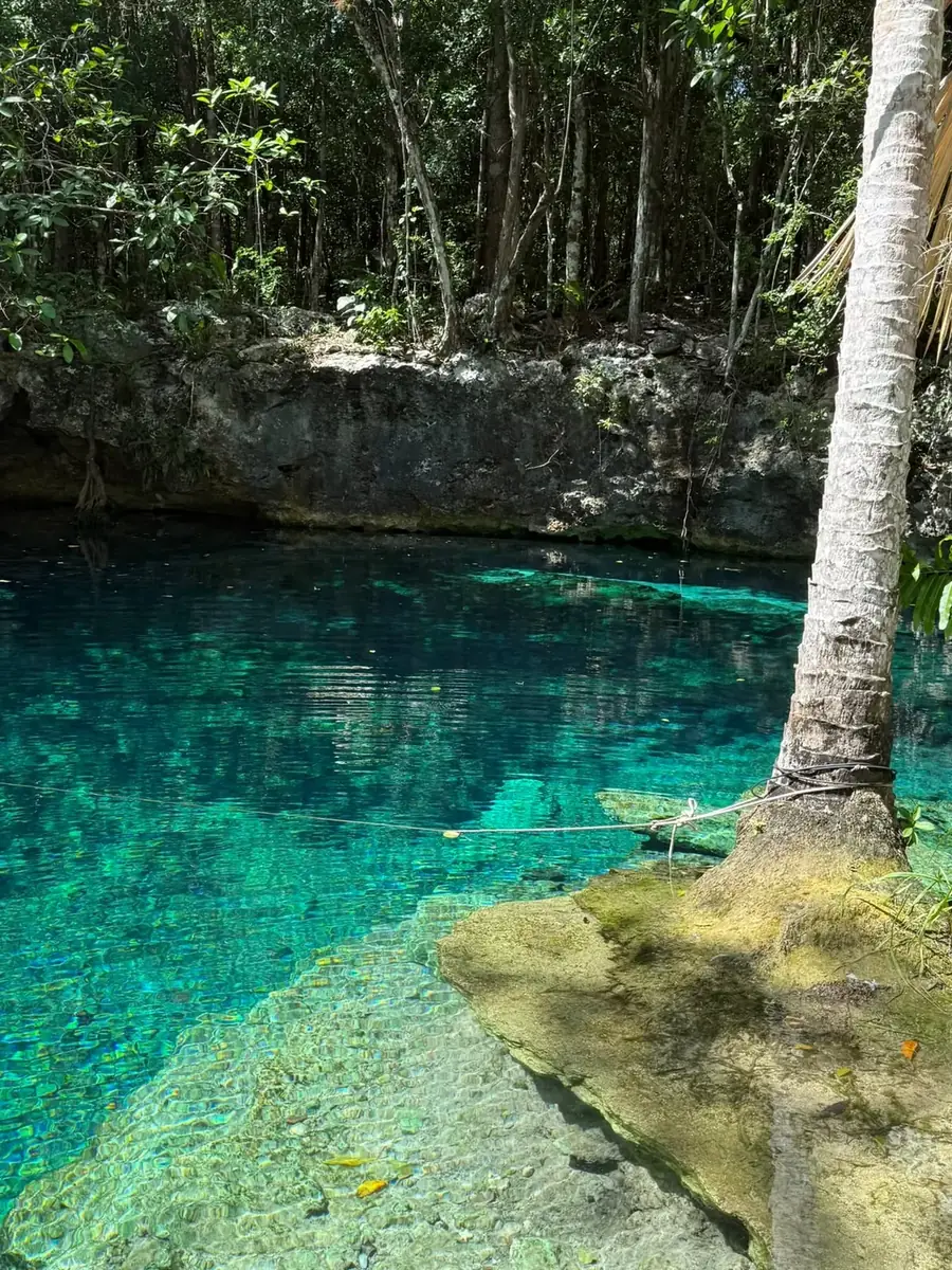 Orilla de piedra y agua cristalina del cenote