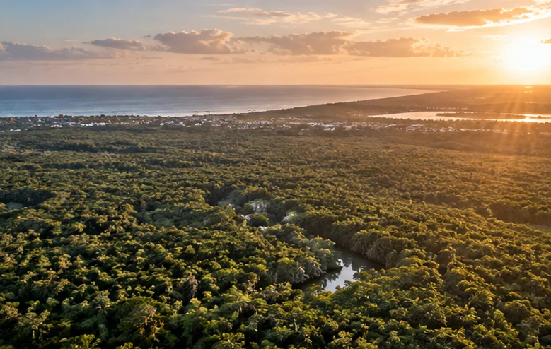 Selva de Tulum al atardecer con el mar al fondo